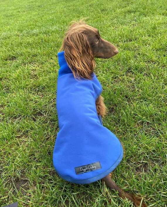 Waterproof Dachshund Coat ( Royal Blue polar neck)