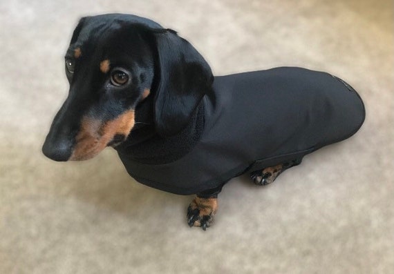 Waterproof Dachshund Coat (Black polar neck)