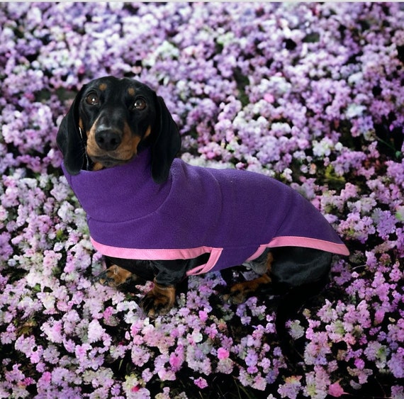 Dachshund polar fleece polar neck (purple and pink)