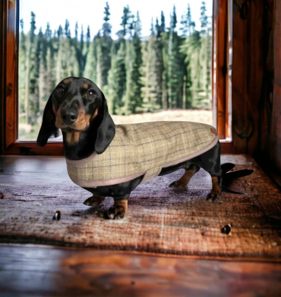 The Dapper Coat (Warm Dachshund Coat)