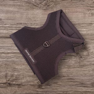 Dachshund Harness - No Rub comfort, air mesh, secure and made to measure. image 2