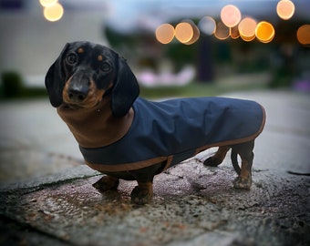 Waterproof Dachshund Coat (Navy and brown polar neck soft shell)