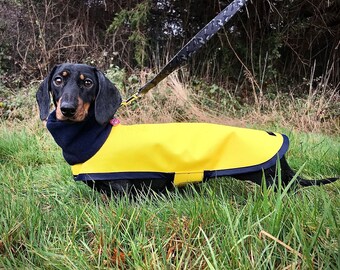 Waterproof Dachshund Coat ( Yellow and Navy)