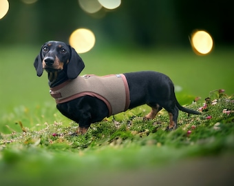 Dachshund Harness Brown ( No armpit rub)