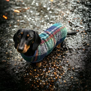 Dachshund Coat warm winter woolly fleece lined coat (winter plaid)