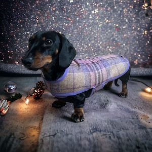 Dachshund Coat warm winter woolly (Highland Retreat Tweed)