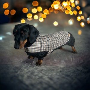 以下が含まれることがあります： 黒と茶色のダックスフントが、格子柄の犬用セーターを着ています。犬は灰色の表面に立っており、背景にはぼやけた金色の光が映っています。