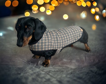 Black & Tan Dogtooth Dachshund Coat