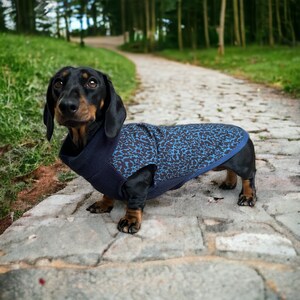 Dachshund water resistant coat ( twilight tummy coverage)