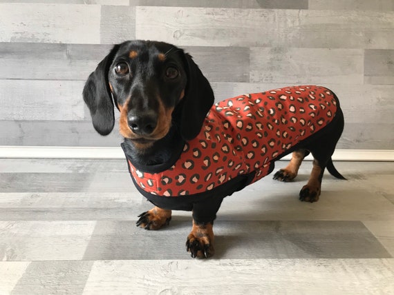 Waterproof Orange leopard Dachshund Coat
