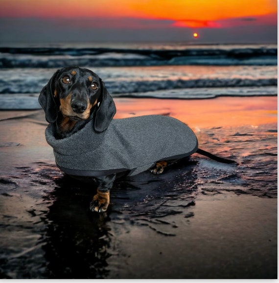 Dachshund Polar fleece polar neck (grey with black trim)