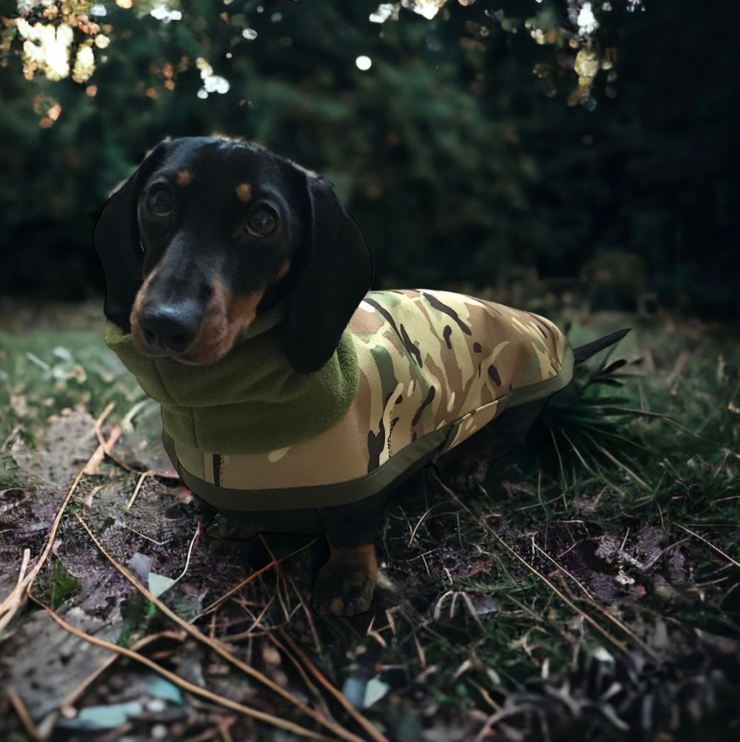 Waterproof Dachshund Coat military Polar Neck Etsy UK