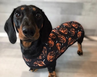 Water Resistant Dachshund face Coat