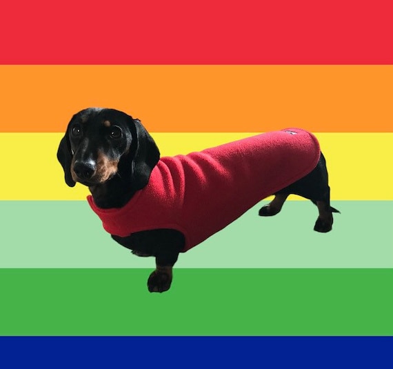 Red Dachshund Fleece