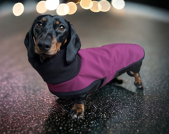 Waterproof Dachshund Coat ( Wine Black Polar Neck)