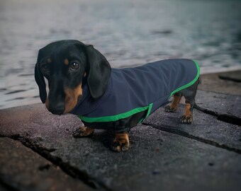 Waterproof Dachshund Coat (Navy and green polar neck)
