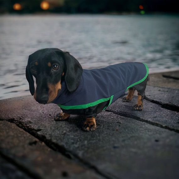 Waterproof Dachshund Coat (Navy and green polar neck)