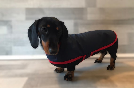 Water resistant Soft Shell Navy & Red Dachshund Coat