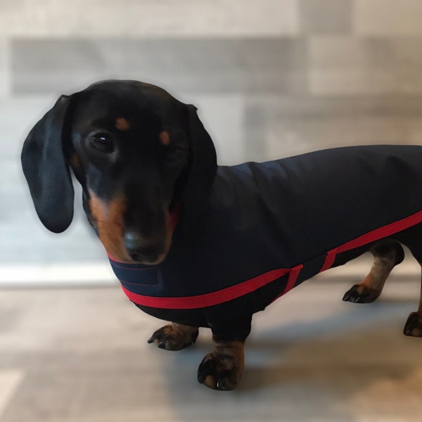 Water resistant Soft Shell Navy & Red Dachshund Coat