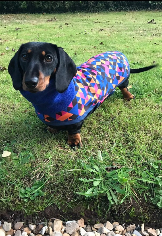 Dachshund Polar Neck Coat (Camo triangle)