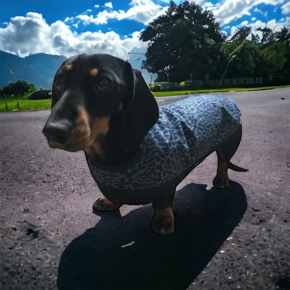 Waterproof Dachshund Coat (twilight leopard soft shell)
