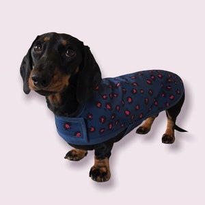 Wasserabweisende Midnight Pink Dackel Jacke