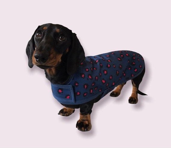 Water Repellent Midnight Pink Dachshund Coat