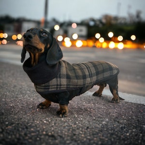 Woollen Dachshund Coat (Black & Stone )