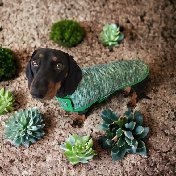 Dachshund Pants - Nadia 2 Dachshund Pants - Nadia 2