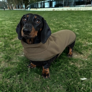 Dachshund Polar fleece polar neck (khaki)