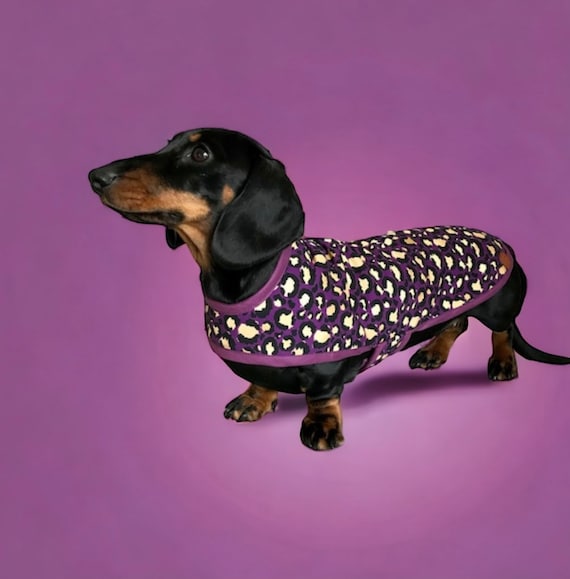 The Purple Leopard Dapper Coat