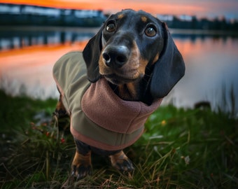 Waterproof Dachshund Coat (khaki and brown polar neck soft shell)