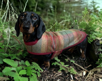 Dachshund Coat warm winter woolly (top of the moor plaid)