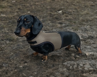 Arnés para perro salchicha (sin frotar en las axilas)