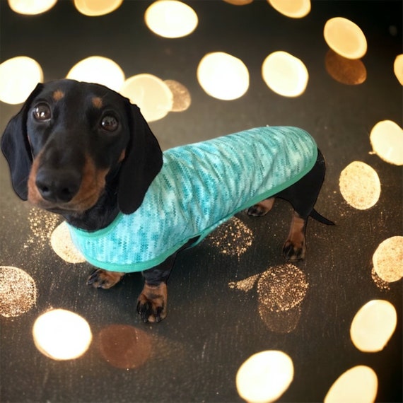 Warm Waterproof Winter Aqua Dachsund Coat