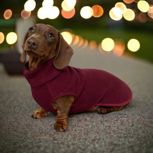 Miniature Dachshund Fleece