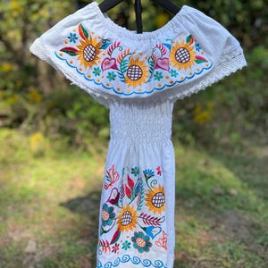 Traditionelles mexikanisches gewebtes Kleid, Vestido bordado de niña, Vestido típico, mexikanisches besticktes Kleid