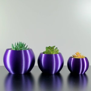 Purple Round Bowl | Succulent Planter