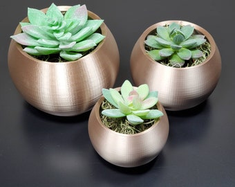 Dark Champagne  Round Bowl | Succulent Planter