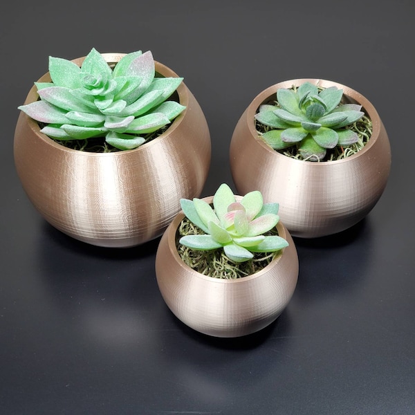 Dark Champagne  Round Bowl | Succulent Planter