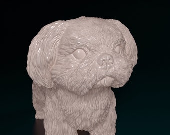 Standbeeld shih-tzu/hond