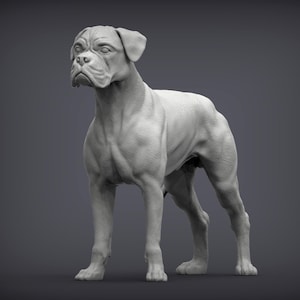 Boxer Standing Model - Realistic Dog Figurine, Home Decor, Gift for Dog Lovers, Collectibles, Animal Sculpture, Handmade Statue