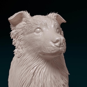 Australian Shepherd Statue | Realistic Dog Figurine | Perfect Home Decor & Gift for Dog Lovers