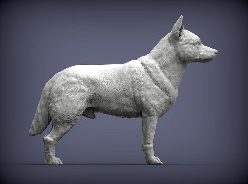 Sandicast dogs - Etsy 日本