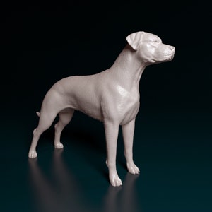 Figura de Dogo Argentino de pie, hecha a mano. Regalo único para amantes de los perros. Escultura canina detallada para la decoración del hogar.