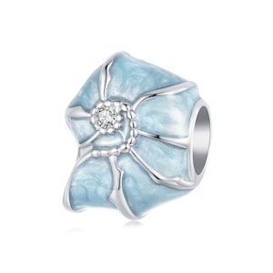 May include: A silver charm with a blue enamel flower design and a clear crystal in the center.