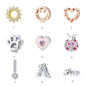 Mesh Reflexions Bracelet Charm Clip Charms Collection, 925 Sterling Silver Charm Fit Pandora Reflexions Mesh Bracelets