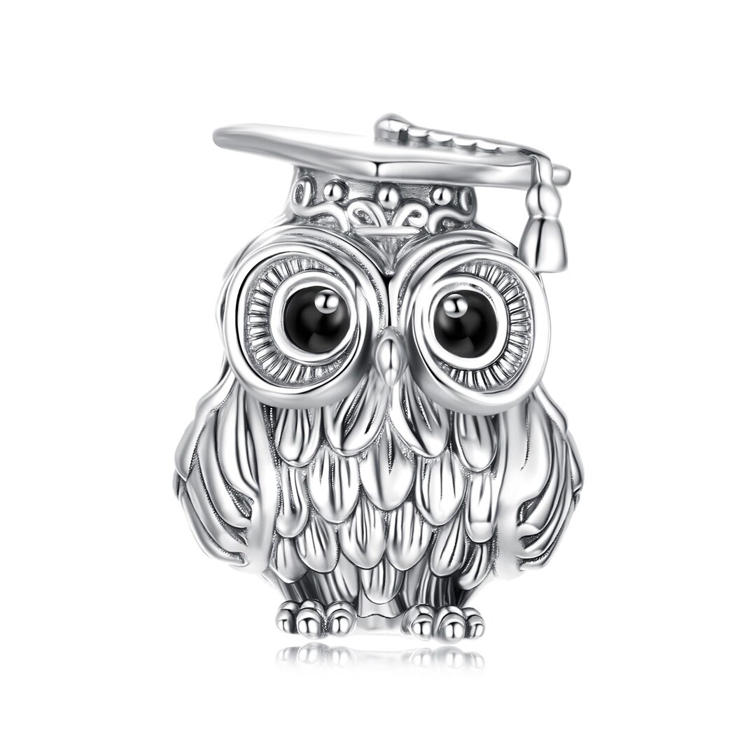 Wise Owl Charm, Charm for Bracelet, 925 Sterling Silver Charm Fit