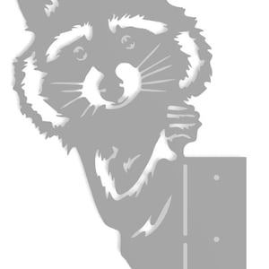 Plasmasnijdbaar "Peek A Boo Raccoon"
