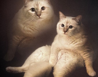 Personalized 80's Style Pet Portraits - Digital Art - Single Pet